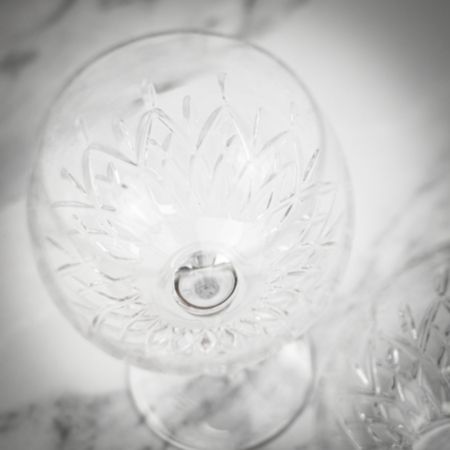Waterford Gin Journeys Pair of Lismore Crystal Balloon Glasses 