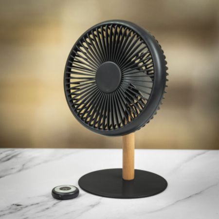 Gingko Design Beyond Desk Fan with Light