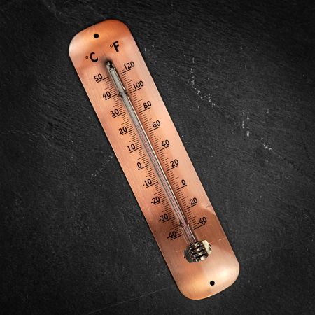 Fallen Fruits Thermometer Copper